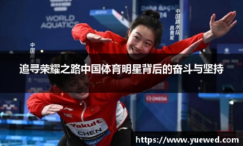 追寻荣耀之路中国体育明星背后的奋斗与坚持